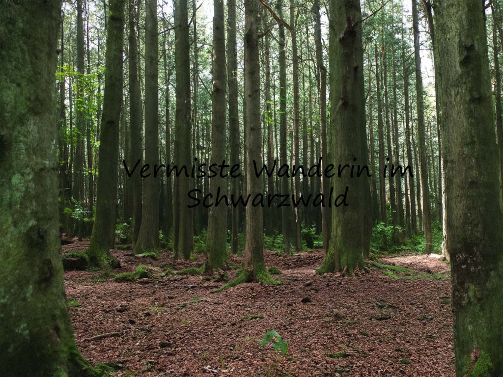 Vermisste Wanderin im Schwarzwald: 530 Hinweise, aber keine Antworten